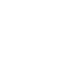 NeSL Total Debt Records