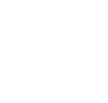 NeSL Total Debt Amount